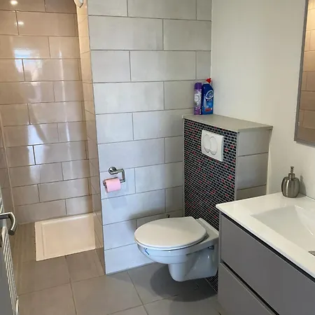 Semesterbostad Maison Charmante A Avec Terrasse Et Parking Gratuit. Munwiller